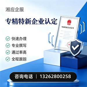 临汾专精特新企业申报服务