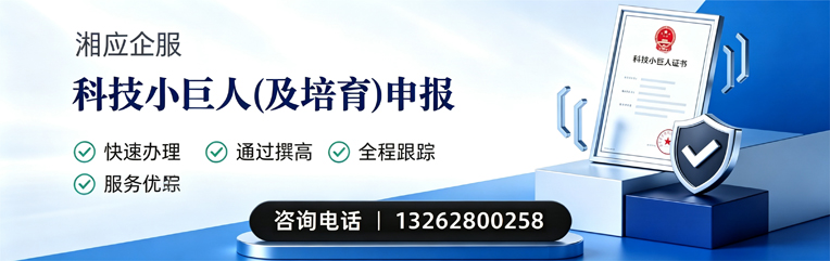 临汾科技小巨人及培育企业申报服务