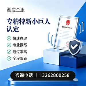 临汾专精特新小巨人申报服务