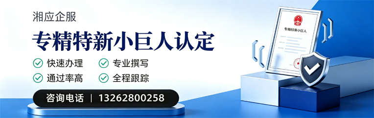 临汾专精特新小巨人申报服务